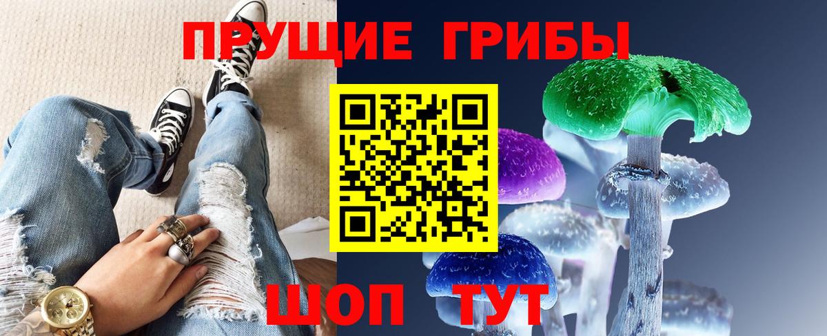 Псилоцибиновые грибы прущие грибы Чебоксары